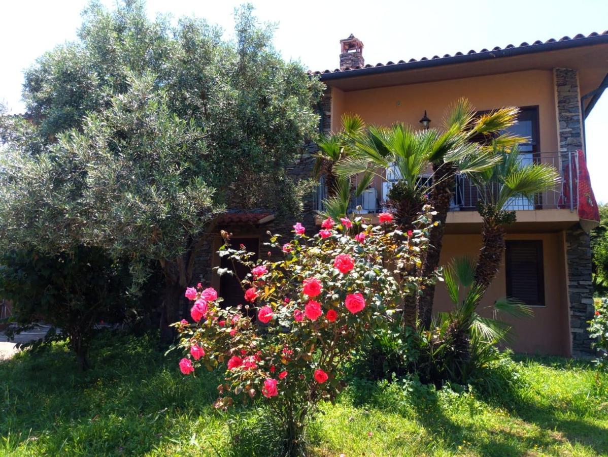 Viliam B&B Olbia Exterior photo